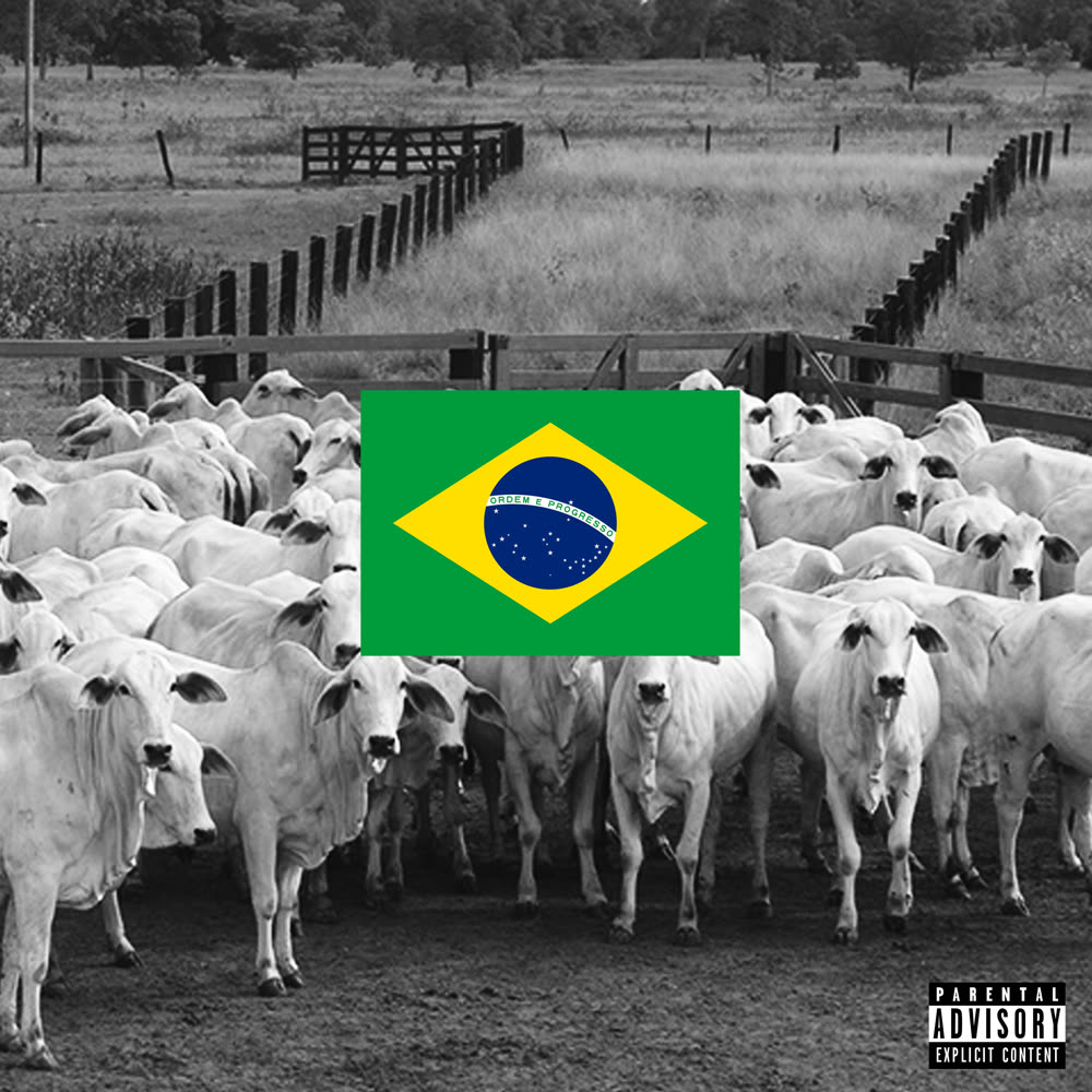 Capa da beat tape Não fecho com bolsominion